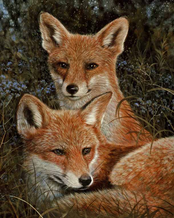 Two Fox
